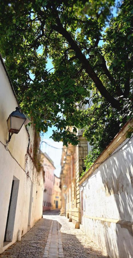 Appartement El Rinconcito De Noa à Jerez de la Frontera Extérieur photo