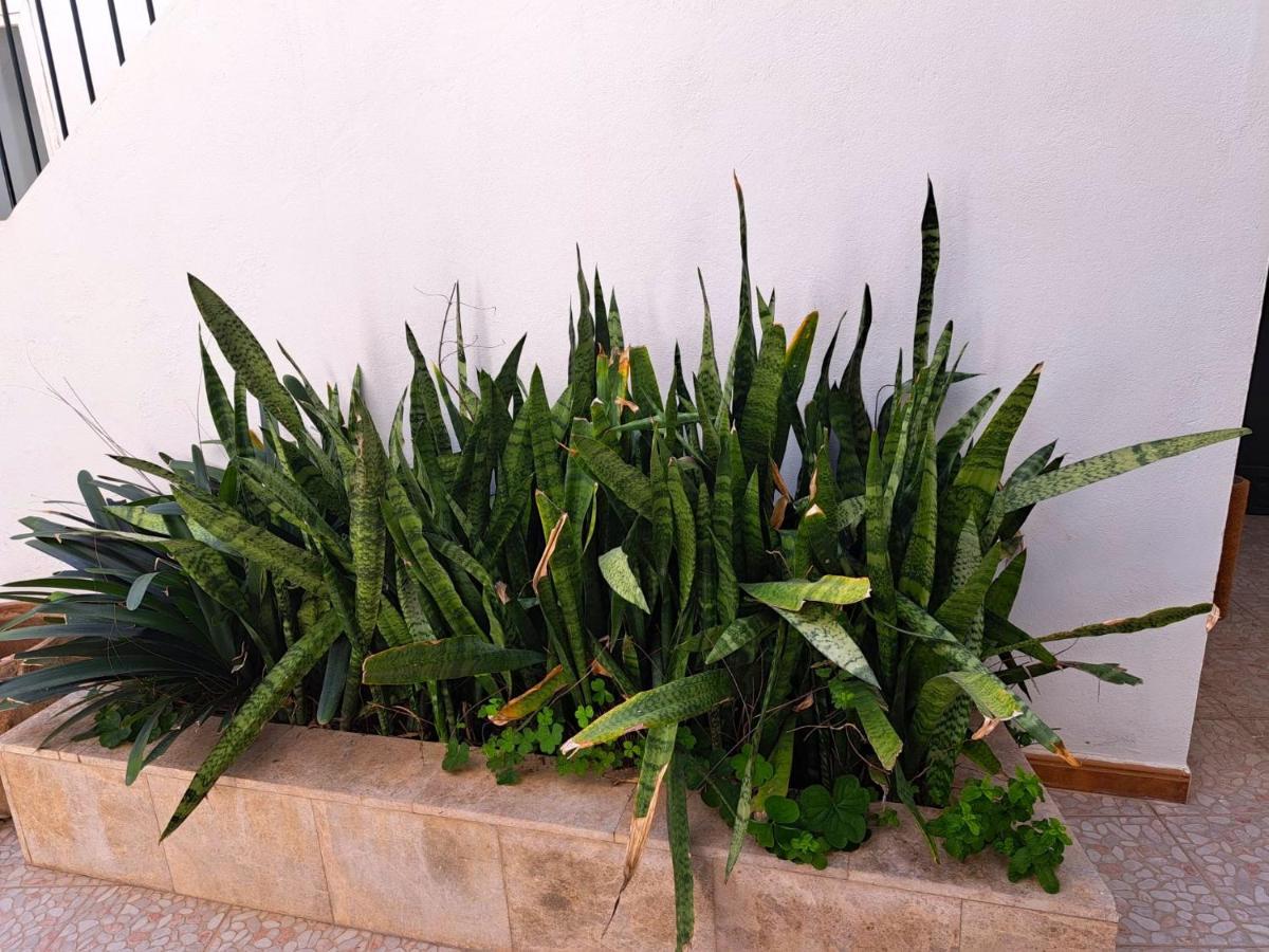 Appartement El Rinconcito De Noa à Jerez de la Frontera Extérieur photo